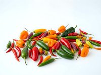 Assorted fresh chili peppers in red, orange, yellow, and green varieties arranged on white background. Isolated produce for culinary, cooking, and food design projects.