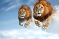 Majestic male lions with flowing manes leaping through clouds against blue sky background, showcasing power and freedom in surreal wildlife fantasy scene.