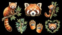 Cute red panda illustrations with bamboo foliage, paw prints, and botanical elements isolated on transparent background. Ready for t-shirt designs, stickers, clipart, sublimation, and print-on-demand products.
