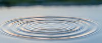 Concentric water ripples spreading across calm lake surface creating peaceful zen-like pattern. Natural phenomenon perfect for meditation and relaxation concepts.