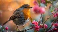 European robin perched on branch with red berries against soft bokeh background, showcasing vibrant orange breast and delicate features.