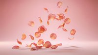 Delicate rose petals gracefully falling and scattered on soft pink surface creating romantic feminine atmosphere for wedding invitations and beauty concepts.