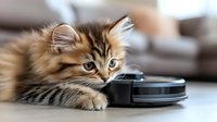 Curious fluffy Persian kitten investigating robotic vacuum cleaner on floor, showing natural feline behavior and interaction with modern technology.