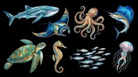 Underwater sea creatures collection isolated on transparent background, featuring shark, octopus, marlin, sea turtle, seahorse, jellyfish and fish school. Ready for clipart, t-shirt design, stickers and print-on-demand projects.