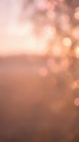 Abstract rose gold bokeh lights background with soft warm glow and blurred circles for romantic wedding invitations and luxury design projects.