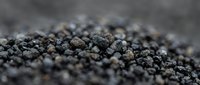 Black peppercorns spice seasoning culinary ingredient cooking flavor aromatic dried berries macro close-up texture pattern food preparation kitchen.
