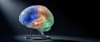 Glowing brain with neural connections on stand against dark background, representing artificial intelligence, neuroscience, and cognitive technology concepts.