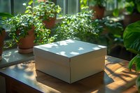 White gift box on wooden table with natural sunlight casting leaf shadows, surrounded by potted plants in cozy home environment. Perfect for special occasions and lifestyle design.