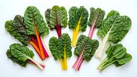 Fresh rainbow chard leaves with colorful stems in red, yellow, pink and white arranged on white background. Organic leafy greens for healthy cooking and nutrition.