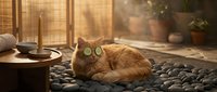 Orange tabby cat wearing green glasses lying on pebble mat in sunlit room with bamboo screens and pottery creating cozy indoor zen atmosphere.