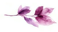 Delicate purple watercolor branch with translucent leaves in soft gradient tones, isolated on white background for stationery, wedding designs and botanical art.