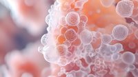 Microscopic view of translucent spherical cells or bubbles clustered together against soft coral or peach background, showing biological structure detail.