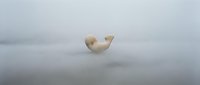 Delicate mushroom floating in misty fog, ethereal and dreamy atmosphere, minimalist nature composition for artistic and editorial projects.