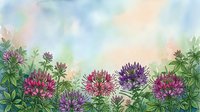 Watercolor clover flowers border with purple and pink blooms on pastel sky background for spring botanical designs and nature themed projects.