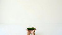 Hands holding small potted moss plant against white background, isolated for design use on merchandise, web graphics, and eco-friendly branding projects.