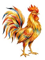 Vibrant rooster with golden, orange, and blue plumage isolated on white background, suitable for clipart, t-shirt designs, and poultry-related projects.