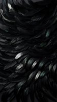 Dark black feathers with iridescent green highlights creating dramatic texture for luxury fashion, gothic design, and sophisticated branding projects.