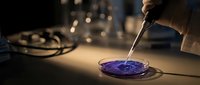Hand holding wooden stick mixing purple paint on palette in artist studio with warm lighting and blurred background creating artistic atmosphere for creative projects.