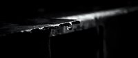 Dramatic black and white close-up of water droplets forming on weathered wooden surface with soft lighting creating atmospheric mood for artistic projects.