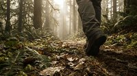 Hiker walking on forest trail with autumn leaves, sunlight filtering through trees creating atmospheric outdoor adventure scene for nature exploration.