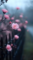 Delicate pink roses blooming along dark iron fence in moody atmosphere with soft bokeh background, creating romantic garden scene in muted tones.