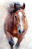 Brown horse with white blaze running through snow, mane flowing in wind. Close-up portrait shows gentle eyes and detailed facial features against winter background.