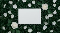 Blank white card surrounded by white rose petals on green grass background for wedding invitations, greeting cards, and romantic design projects.