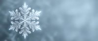 Delicate ice crystal snowflake with intricate geometric patterns against soft blue winter background for seasonal holiday decorations and frost themes.