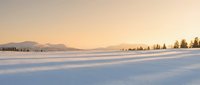Serene winter landscape with pristine snow-covered field at golden hour sunset, distant mountains and forest silhouette creating peaceful Nordic scenery.