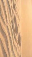Close-up of windswept sand dunes with rippling textures and warm golden light, suitable for nature backgrounds, desert landscapes, and travel design projects.