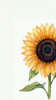 Watercolor sunflower with golden petals and green stem on white background, isolated for cards, prints, and seasonal decor projects.