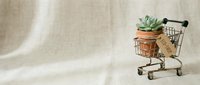 Miniature shopping cart holding potted succulent plant with kraft paper tag on neutral beige linen background, representing eco-friendly shopping and sustainable retail concepts.