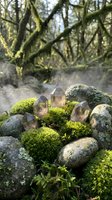 Clear quartz crystals nestled among moss-covered rocks in mystical forest setting with soft natural lighting for spiritual wellness and meditation practices.