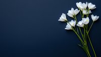 Delicate white flowers with green stems arranged on dark navy blue background, minimalist floral composition creating elegant contrast and negative space.