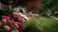 Lush garden landscape with vibrant pink and white hydrangea flowers alongside ornamental grasses creating a serene residential pathway.