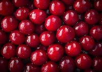 Fresh ripe cranberries with water drops in macro view showing glossy red surface and natural texture, suitable for food industry and healthy eating concepts.