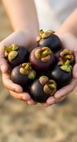 Hands holding fresh mangosteen fruits with green stems, showcasing tropical produce for culinary, agricultural, and food styling applications.