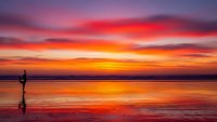 Dramatic sunset over calm ocean with silhouetted person walking on reflective wet sand beach creating mirror effect with vibrant orange pink purple sky colors.
