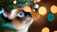 Siamese cat looking up at Christmas tree ornament with magical bokeh lights in background, creating festive holiday atmosphere. Close up view captures bright blue eyes.
