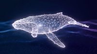 Digital wireframe whale model with glowing white polygonal mesh structure on dark blue background for technology and marine life concepts.