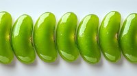 Fresh green fava beans arranged in row on white background, showing natural texture and vibrant color. Healthy organic vegetable macro photography.