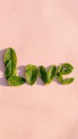 Fresh green mint leaves arranged to spell love word on soft pink textured background with natural shadows for eco-friendly design projects.