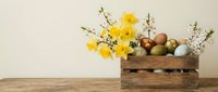 Rustic wooden crate filled with colorful Easter eggs and bright yellow daffodils with pussy willow branches on neutral background for spring holiday decor.