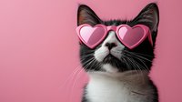 Adorable black and white kitten wearing pink heart-shaped sunglasses on pastel pink background for Valentine's Day greeting cards and romantic designs.