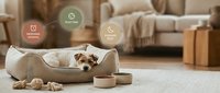 Cute dog resting in comfortable pet bed surrounded by toys and food bowls with communication app icons floating above in modern living room setting.