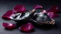 Fresh opened oyster shells on dark background with scattered burgundy rose petals creating romantic seafood composition for restaurant menu design.