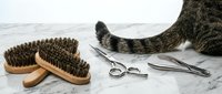 Tabby cat with grooming tools including brushes, scissors, and comb on marble surface for pet care and grooming services.