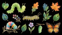 Caterpillar, butterfly, and autumn leaves isolated on transparent background, ready for t-shirt design, clipart, stickers, print-on-demand products, and sublimation projects.