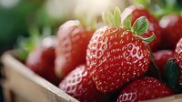 Fresh ripe red strawberries with green leaves in wooden box, macro shot with selective focus. Natural organic berries for healthy eating and desserts.