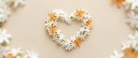 Heart-shaped floral arrangement with white and orange daisies on neutral background for romantic wedding decoration and love-themed design projects.
